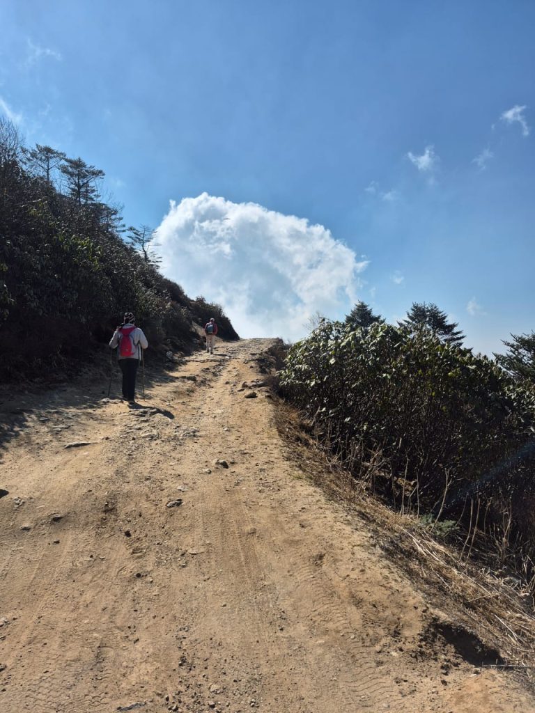 Trek to Sandakphu