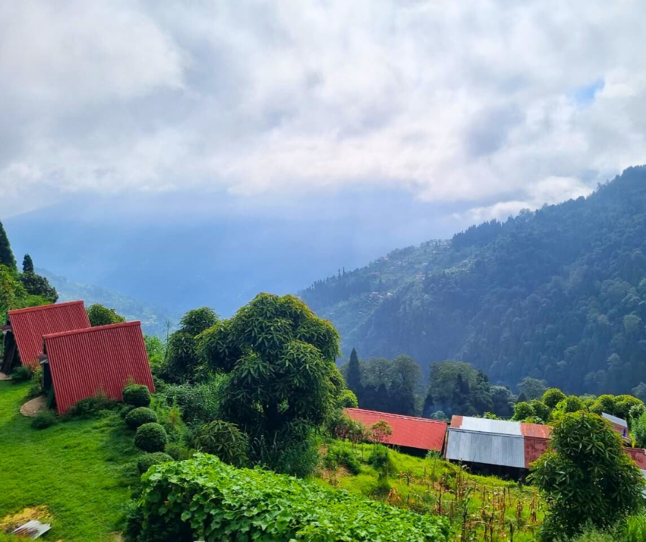 Gurdum base camp of sandakphu