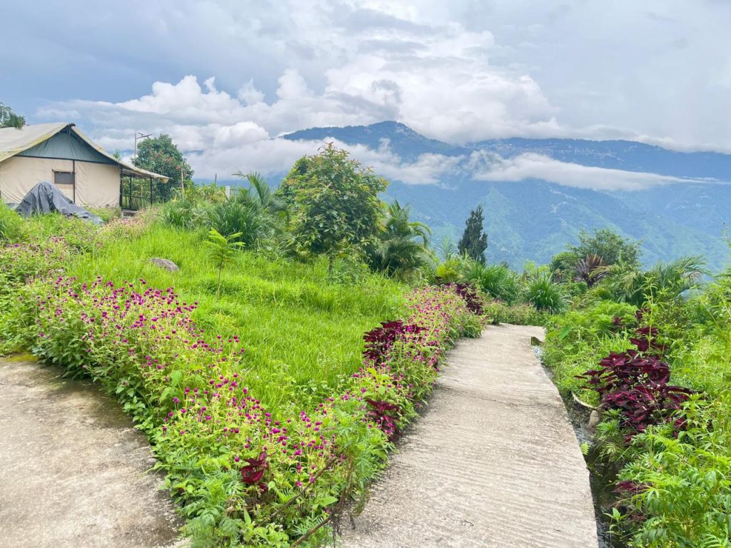 Bijanbari Stay