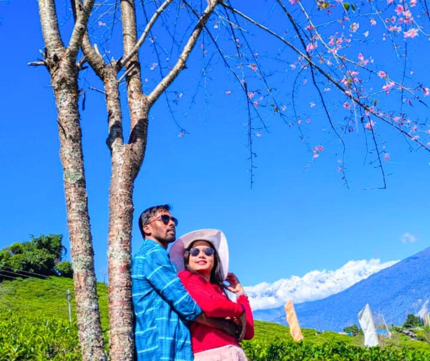 Cherry Blossom in south Sikkim